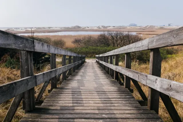 Wooden boardwalk with handrails